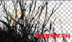 用Ps将自己的照片做成明信片 - 迎春 -