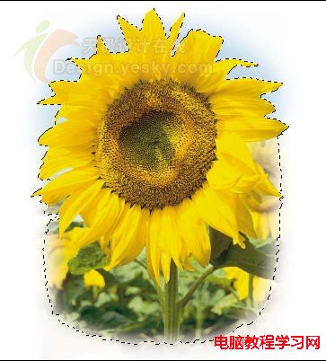 用Ps将自己的照片做成明信片 - 迎春 -