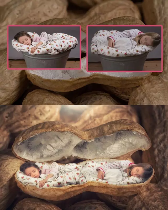 你会PS合成吗? 全福编程网
