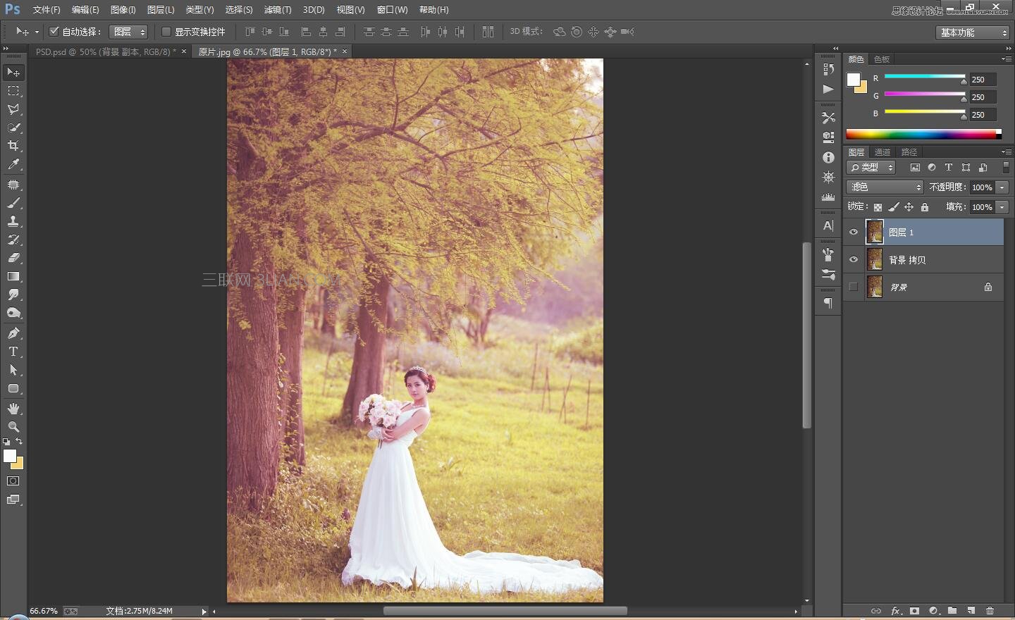 Photoshop调出外景婚片古典唯美效果图,PS教程,思缘教程网