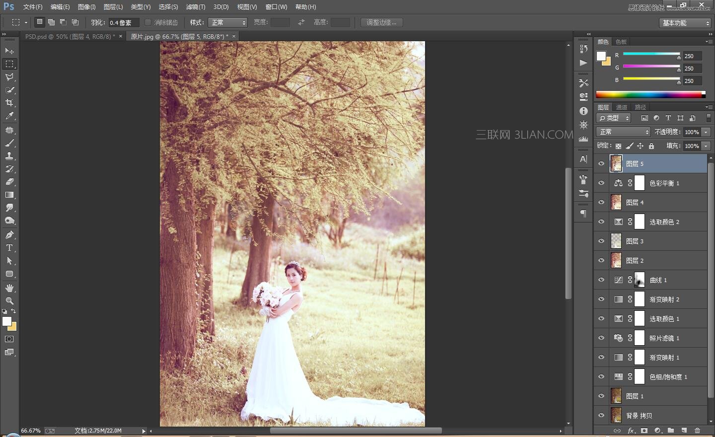 Photoshop调出外景婚片古典唯美效果图,PS教程,思缘教程网