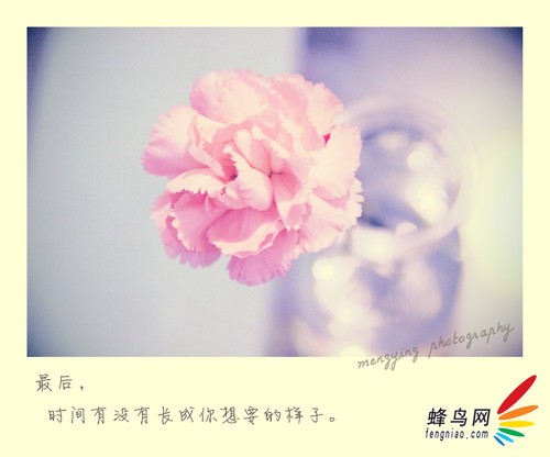 摄影后期拯救弱光照片 教你调出唯美花朵