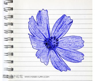 Photoshop制作蓝色圆珠笔手绘花朵照片 全福编程网