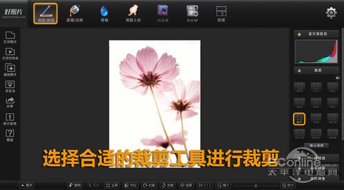 好照片教你如何打造清新花卉摄影作品