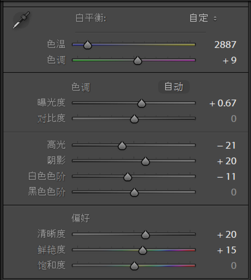 晚间室内灯光环境下的拍摄示例