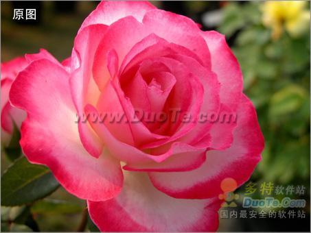 彩影打造高质量神奇变色效果   全福编程网