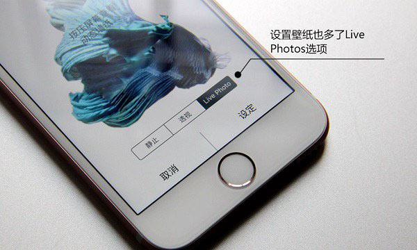 Live Photos是什么 iPhone7怎么关闭Live Photos