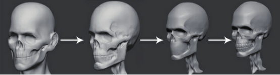 ZBrush男性头部的头骨雕刻教程 全福编程网
