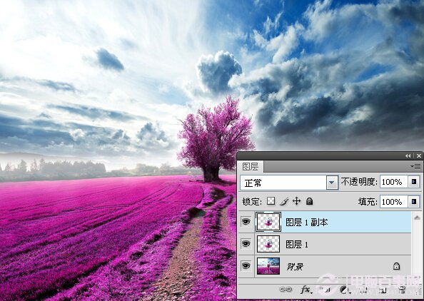 Photoshop打造梦幻薰衣草水晶球效果 电脑百事网