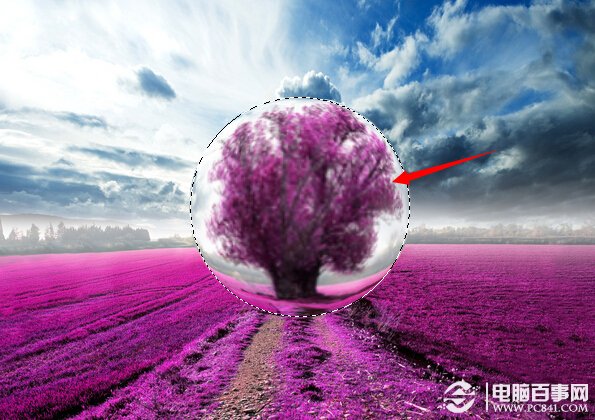 Photoshop打造梦幻薰衣草水晶球效果 电脑百事网