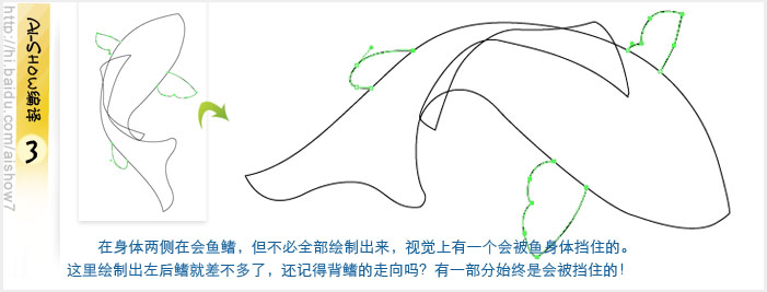 Illustrator鼠绘教程：绘制逼真的双鲤鱼,PS教程,思缘教程网