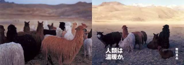 最全总结 | 无印良品 12 年之间做过的海报、报纸、电影、杂志
