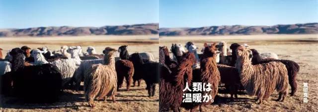 最全总结 | 无印良品 12 年之间做过的海报、报纸、电影、杂志