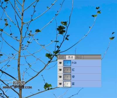 按此在新窗口浏览图片