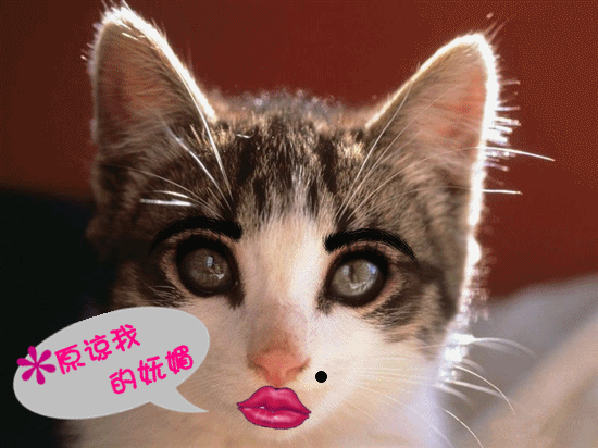 美图秀秀亲手打造属于你的甜甜私房猫