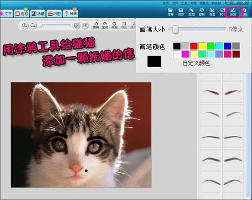 美图秀秀亲手打造属于你的甜甜私房猫
