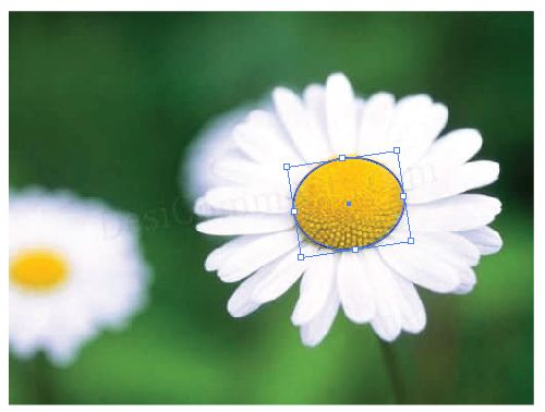 AI绘制漂亮花卉 全福编程网网 AI实例教程
