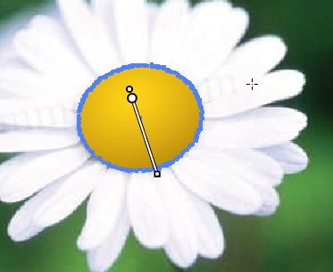 AI绘制漂亮花卉 全福编程网网 AI实例教程