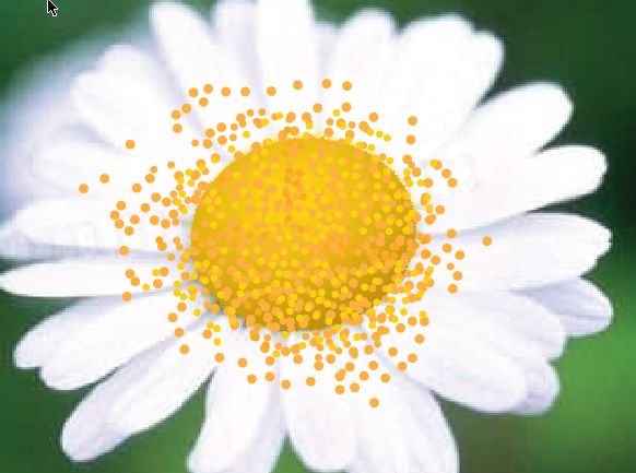 AI绘制漂亮花卉 全福编程网网 AI实例教程