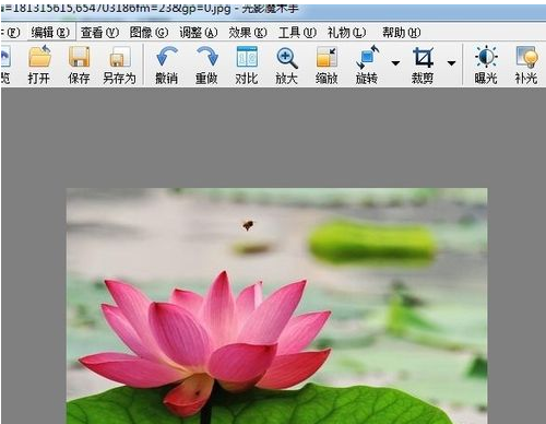如何用光影魔术手的特效给照片增加柔光 全福编程网