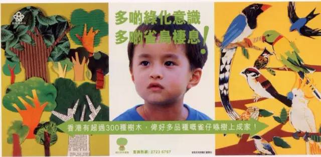 那些救了无数树木、动物性命的公益广告，原来长成这样……