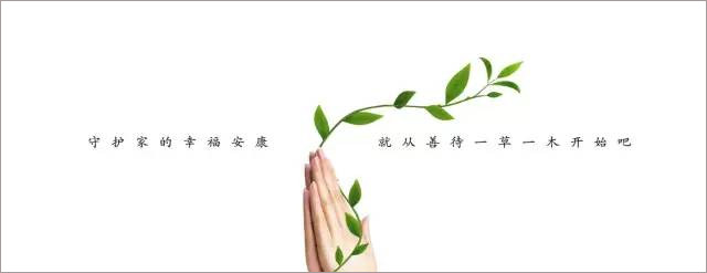 那些救了无数树木、动物性命的公益广告，原来长成这样……