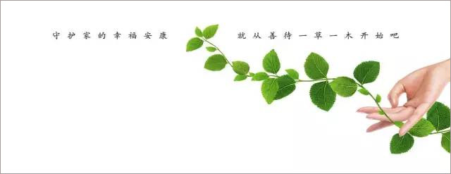 那些救了无数树木、动物性命的公益广告，原来长成这样……