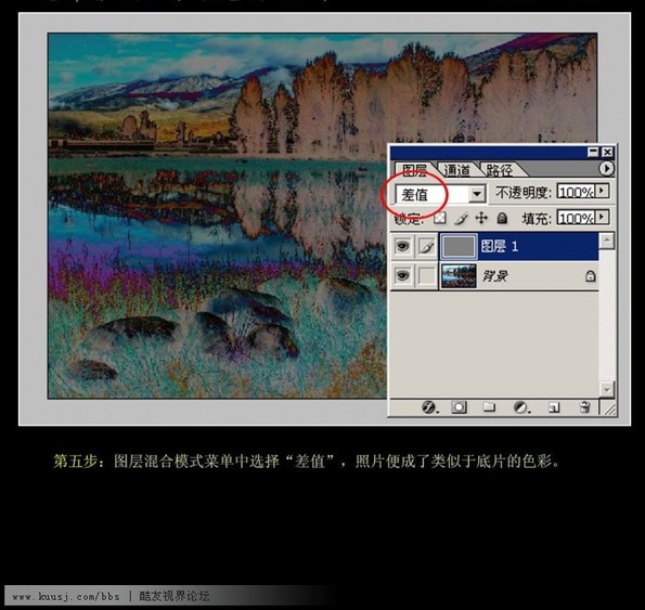 图8.jpg