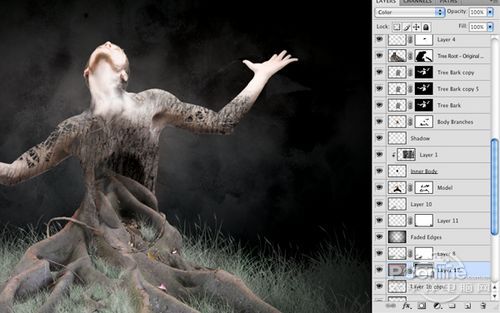 <a href='http://www.86ps.com/'><font color=''>Create</font></a> A Striking Nature