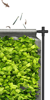 Floating-Garden.jpg