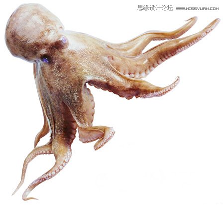 Photoshop合成教程：合成史前大章鱼袭击轮船效果教程,全福编程网