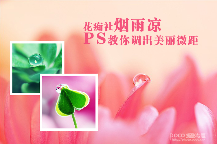 查看该作品