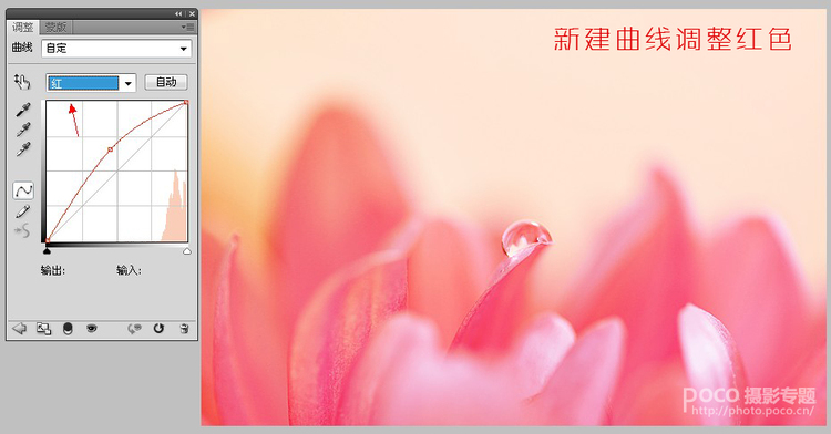 查看该作品