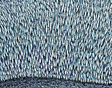 他画完「百鸟朝凤」海报，又画了张细节震得你发麻的作品
