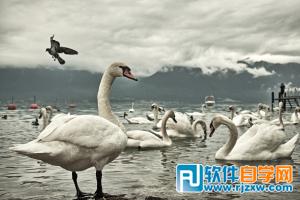 PS经典合成古楼映明月场景_软件自学网