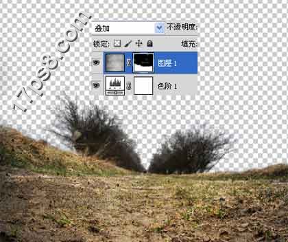 用photoshop合成死亡场景-骷髅与玫瑰