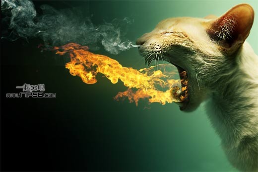 PhotoShop合成嘴里喷火焰的猫咪特效教程 全福编程网教程