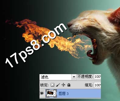 按此在新窗口浏览图片