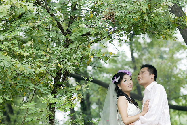 Photoshop打造古典青褐色树林婚片教程 全福编程网教程