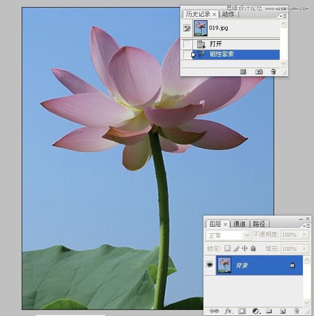 Photoshop合成色彩艳丽的荷花图,PS教程,思缘教程网